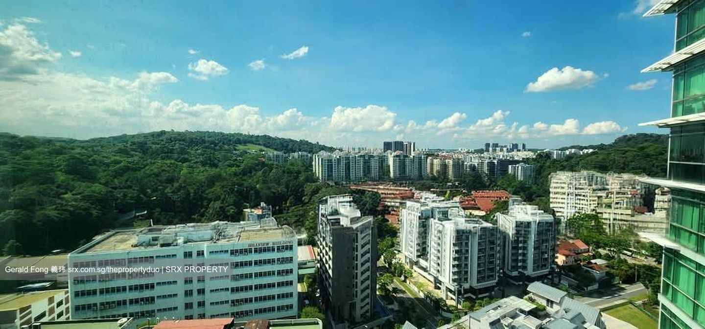 Hillview Regency (D23), Condominium #568777331